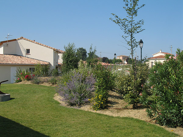 Bosquet champêtre